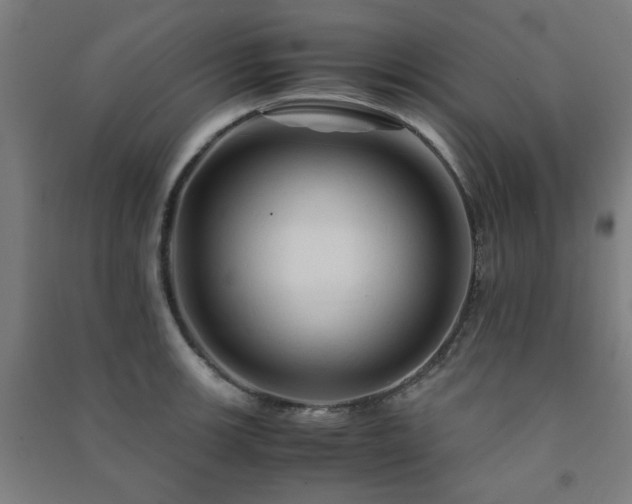 X0000091481139200708161413