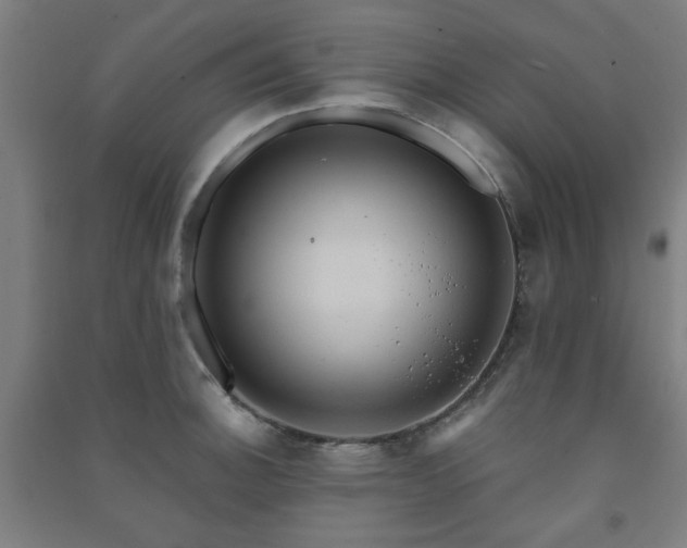 X0000091481140200708161413