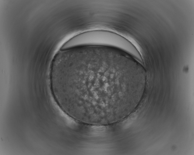 X0000091481142200708161413