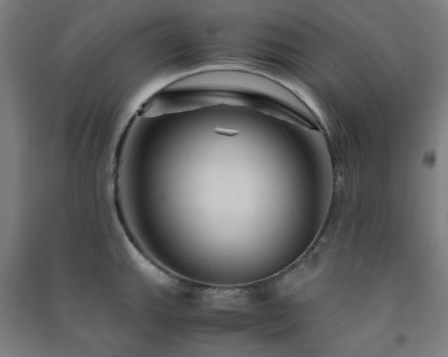 X0000091481143200708161413