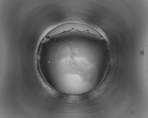 X0000091481144200708161413