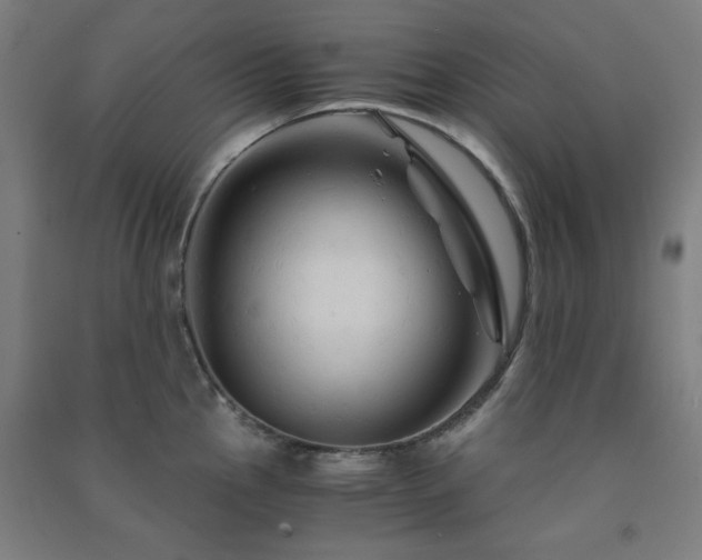 X0000091481145200708161413