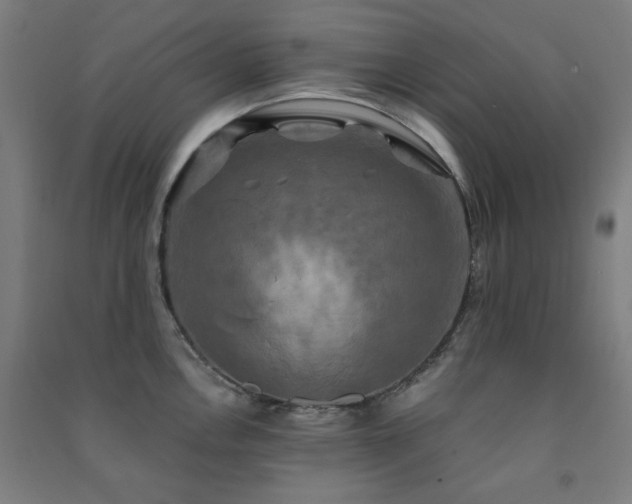 X0000091481146200708161413