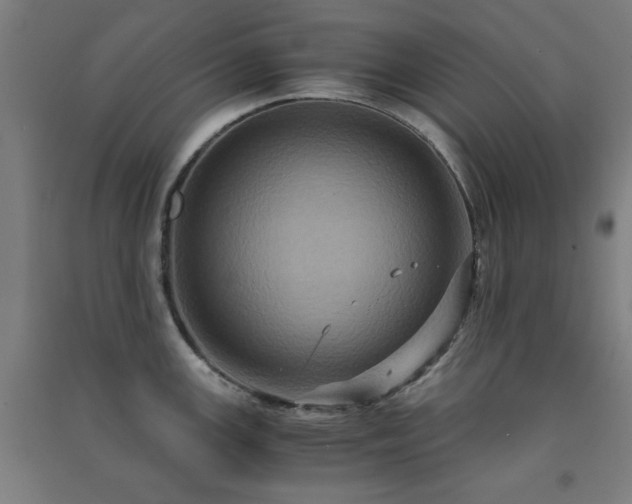 X0000091481147200708161413