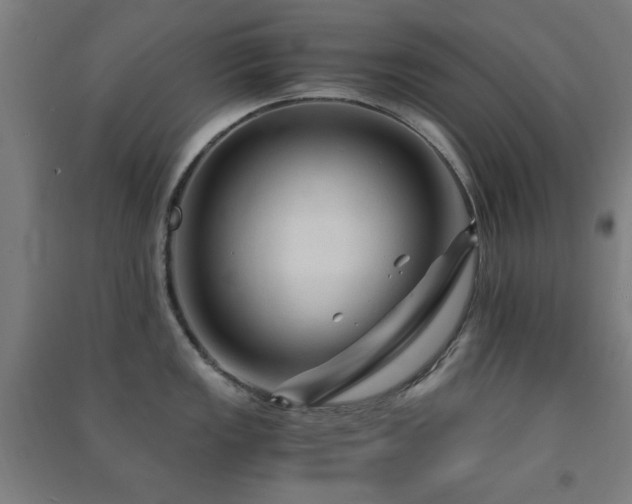 X0000091481149200708161413