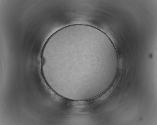 X0000091481150200708161413