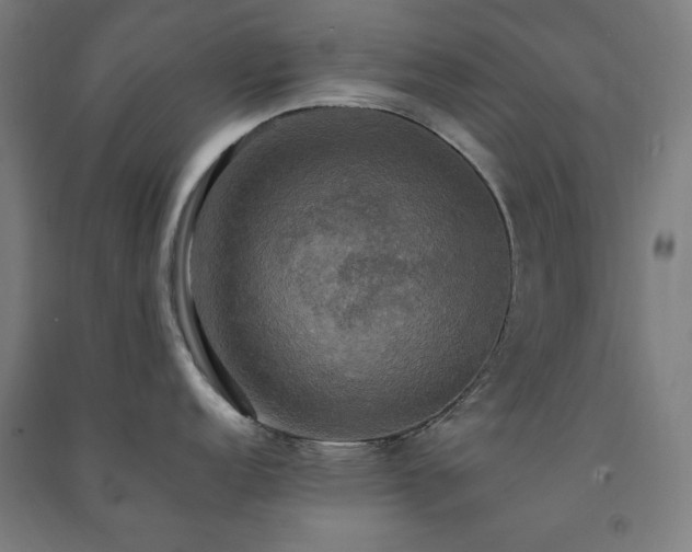X0000091481152200708161414