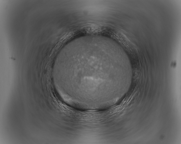 X0000091481153200708161413