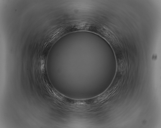 X0000091481154200708161413