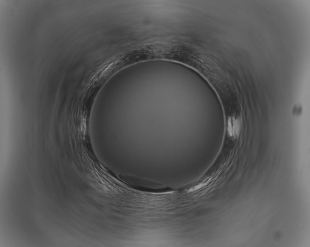 X0000091481155200708161413