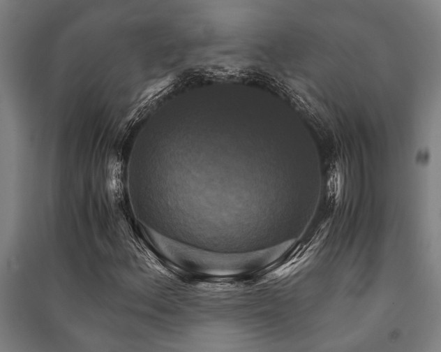 X0000091481156200708161413
