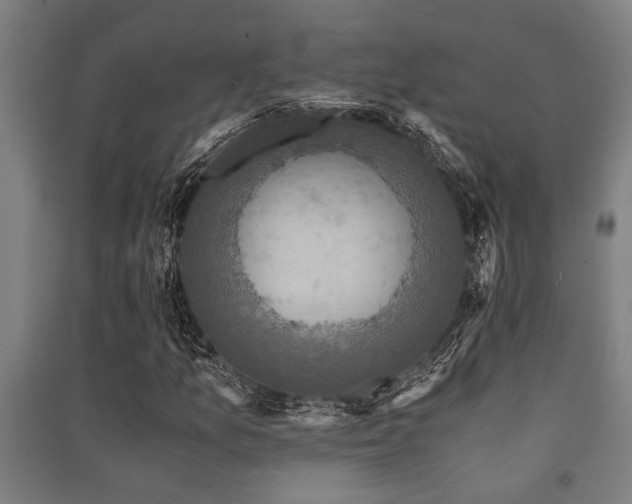 X0000091481157200708161413