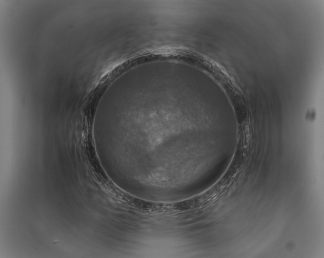 X0000091481158200708161413