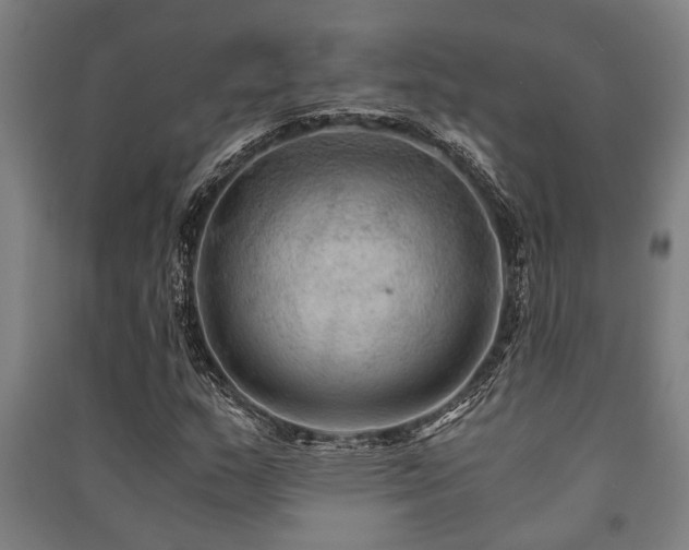 X0000091481159200708161413