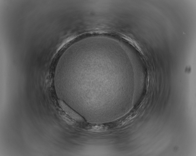 X0000091481160200708161413