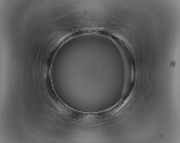 X0000091481161200708161413
