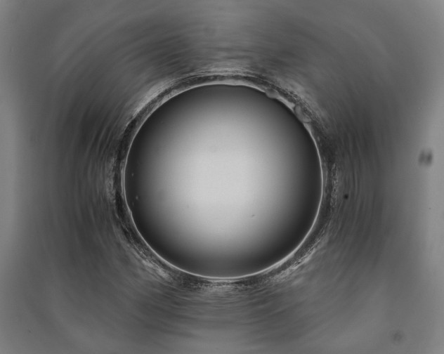 X0000091481162200708161413