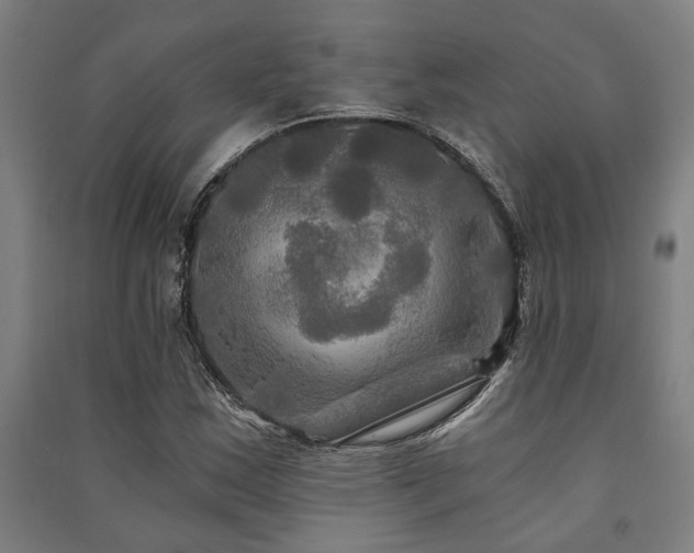 X0000091481163200708161413