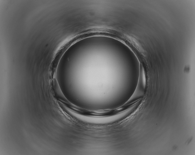 X0000091481164200708161413