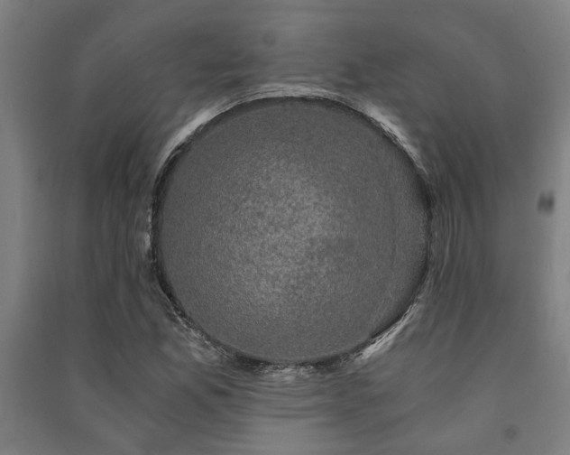 X0000091481165200708161413