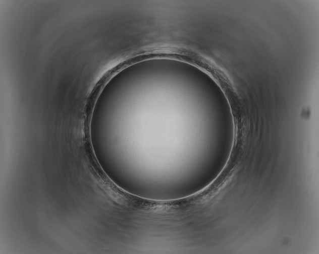 X0000091481166200708161413