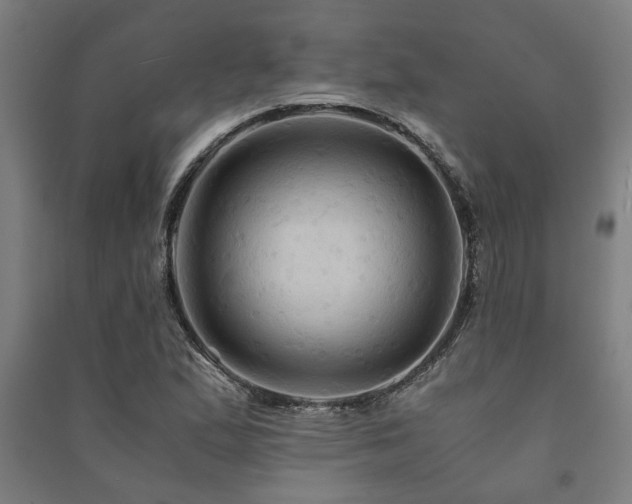 X0000091481167200708161413