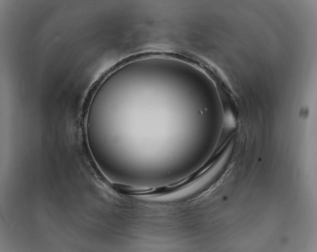 X0000091481168200708161413