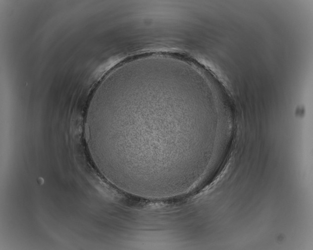 X0000091481169200708161413
