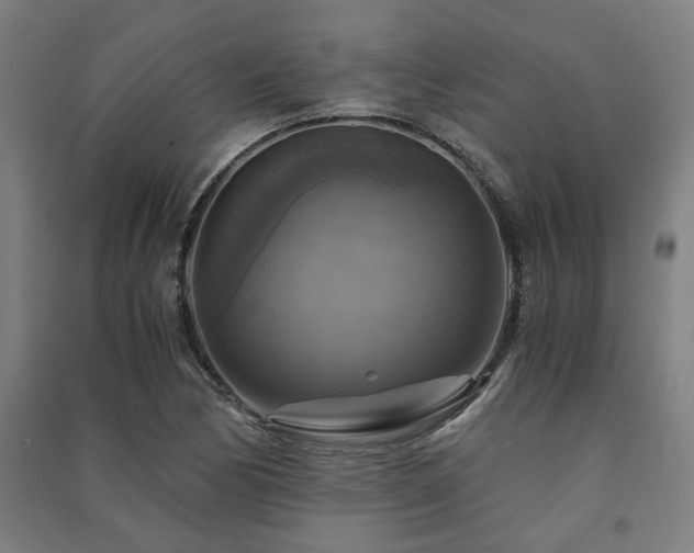 X0000091481170200708161413