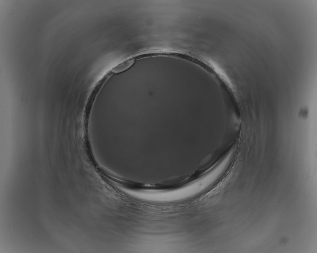 X0000091481173200708161413