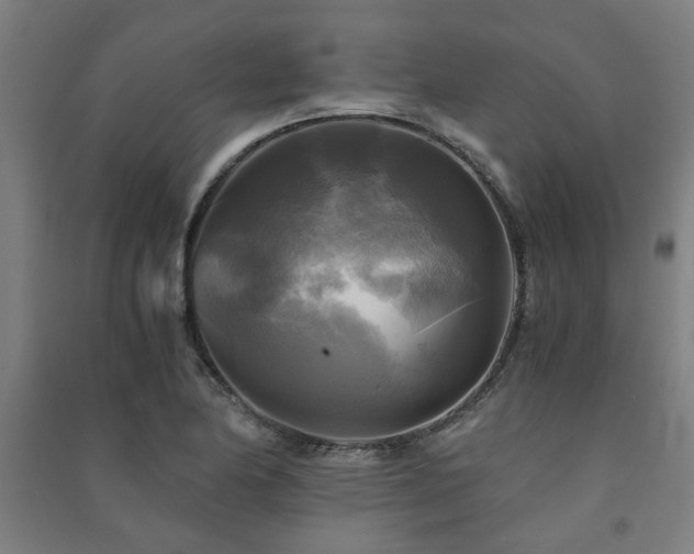 X0000091481174200708161413