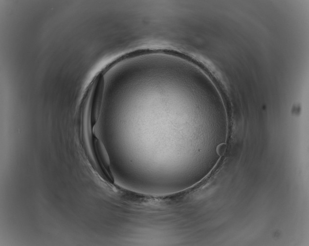X0000091481175200708161413