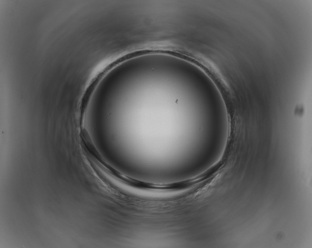 X0000091481176200708161413
