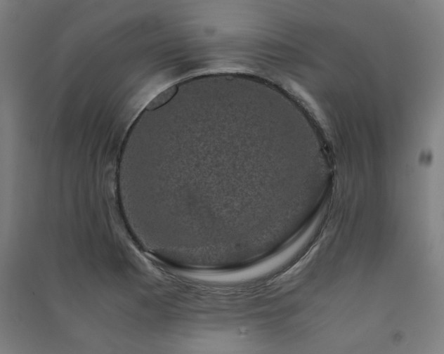 X0000091481177200708161413