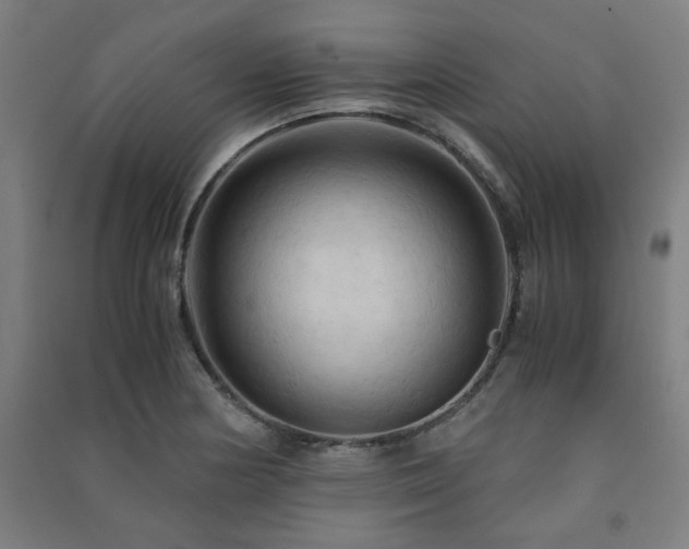 X0000091481178200708161413