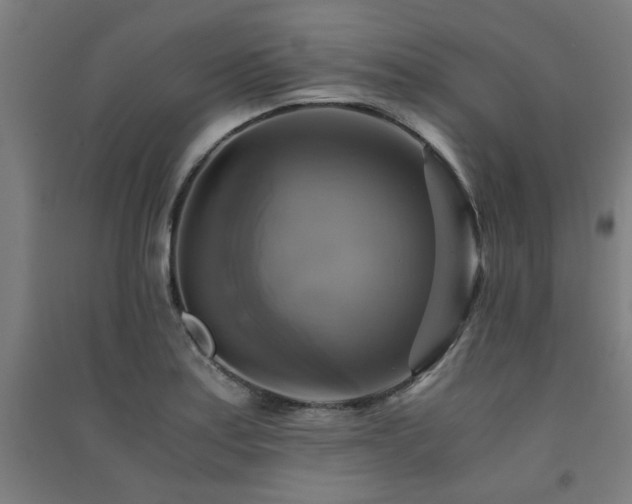 X0000091481179200708161413