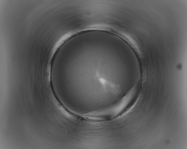 X0000091481180200708161413