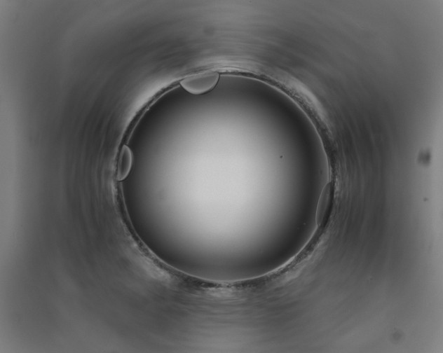 X0000091481182200708161413
