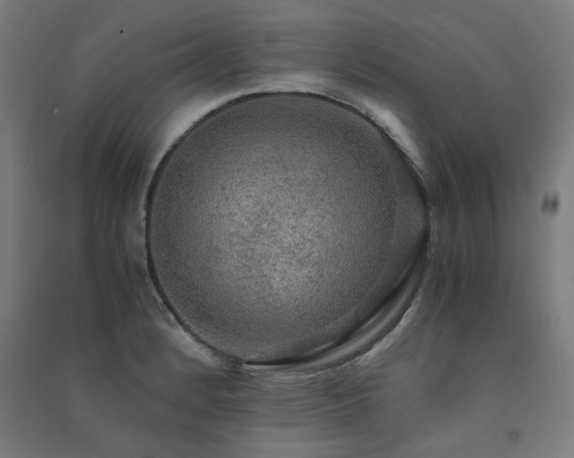 X0000091481184200708161413