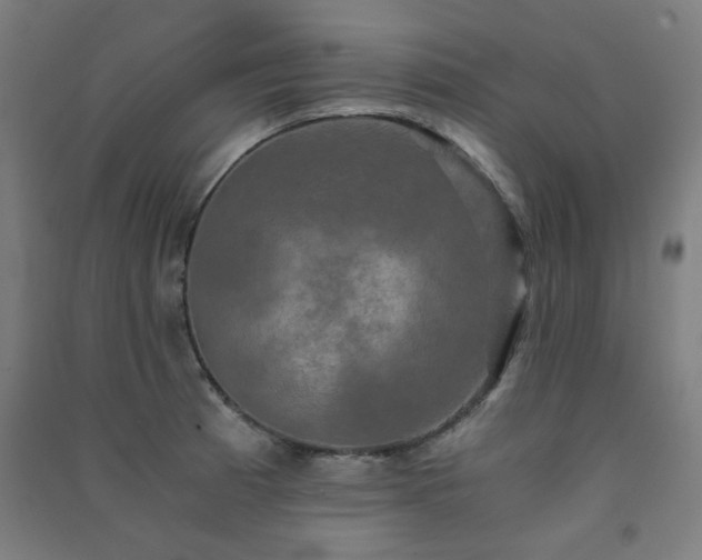 X0000091481185200708161413