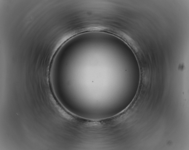 X0000091481186200708161413