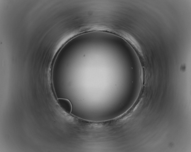 X0000091481190200708161412