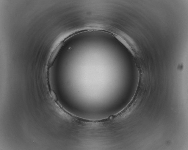 X0000091481192200708161412