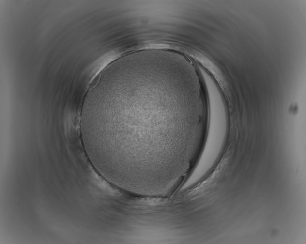 X0000091481193200708161412