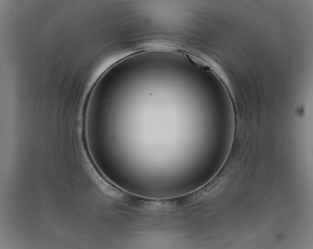 X0000091481195200708161412
