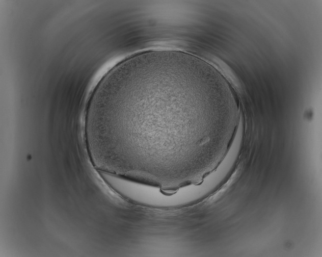 X0000091481196200708161412
