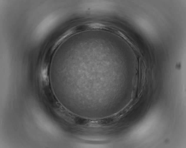 X0000091481198200708161412