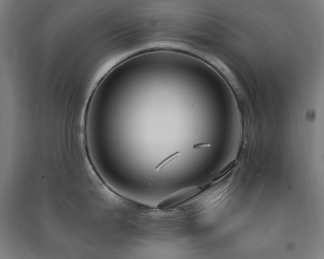 X0000091481199200708161412