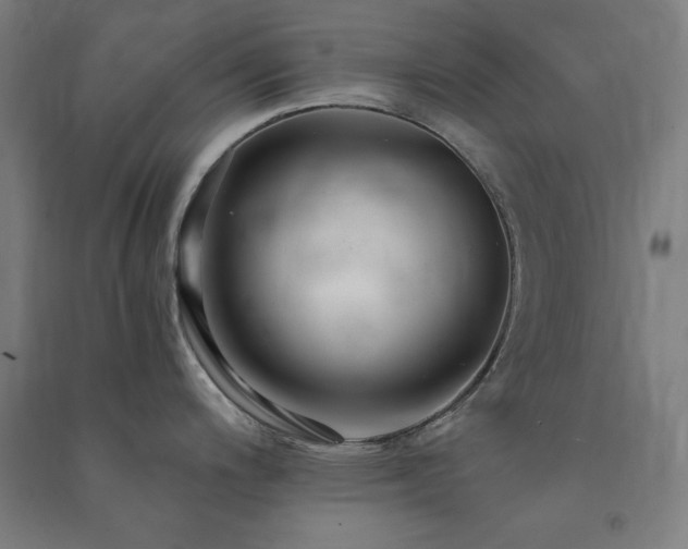 X0000091481200200708161412