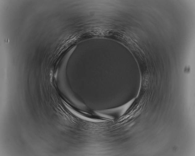 X0000091481202200708161412